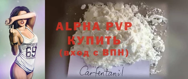 индика Абаза