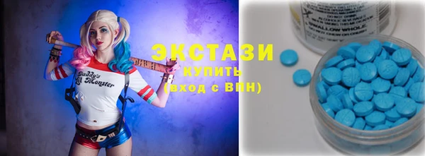 индика Абаза