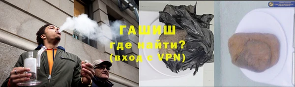 индика Абаза