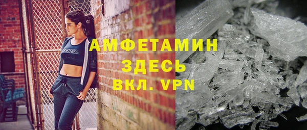 индика Абаза