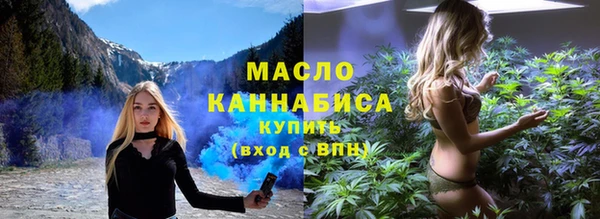 индика Абаза