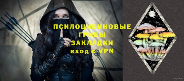 индика Абаза