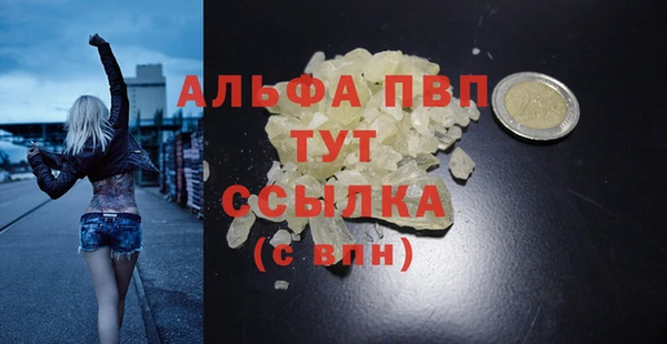 индика Абаза