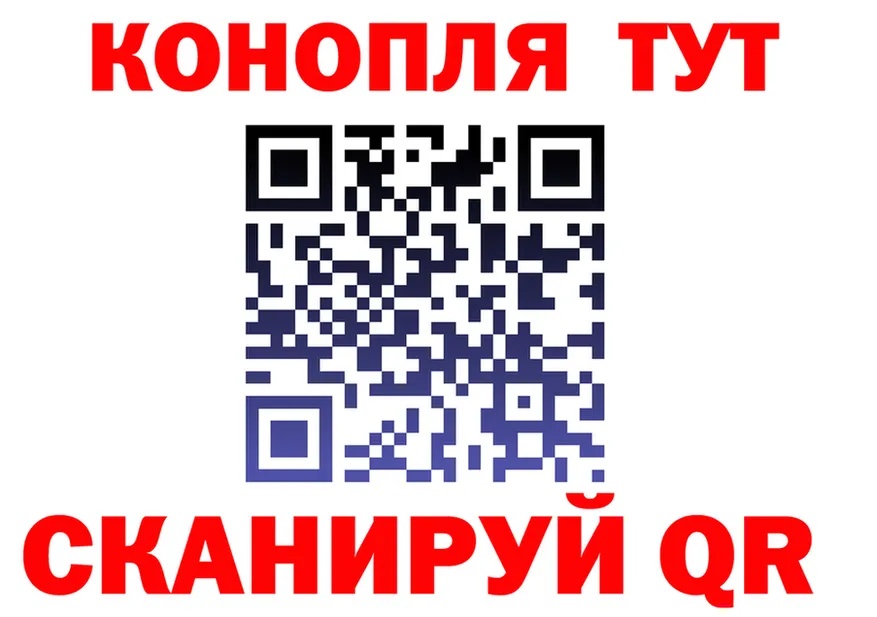 A PVP СК ссылка площадка OMG Краснодар