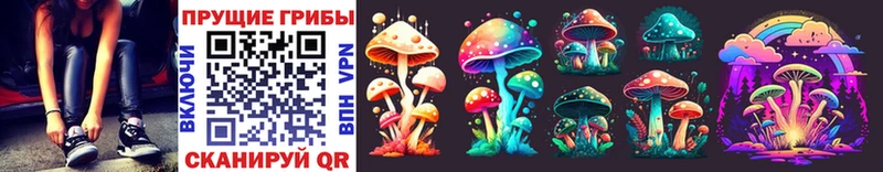 Псилоцибиновые грибы Psilocybine cubensis Краснодар